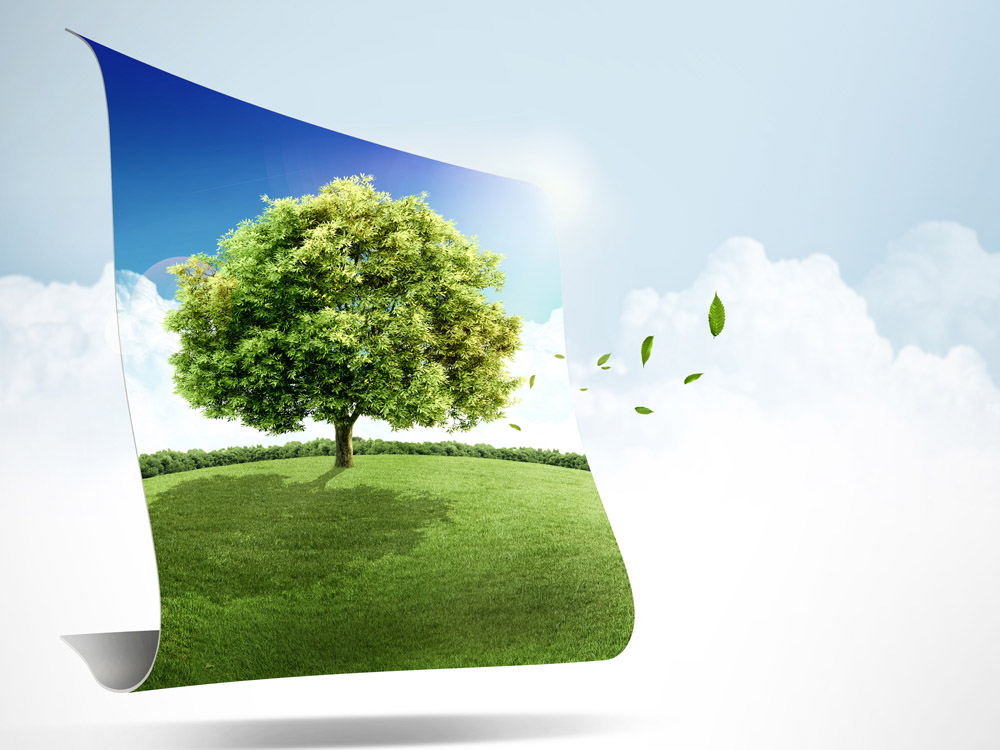 山東省技術(shù)改造條例